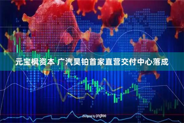 元宝枫资本 广汽昊铂首家直营交付中心落成
