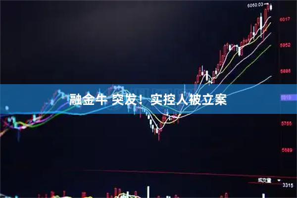融金牛 突发！实控人被立案